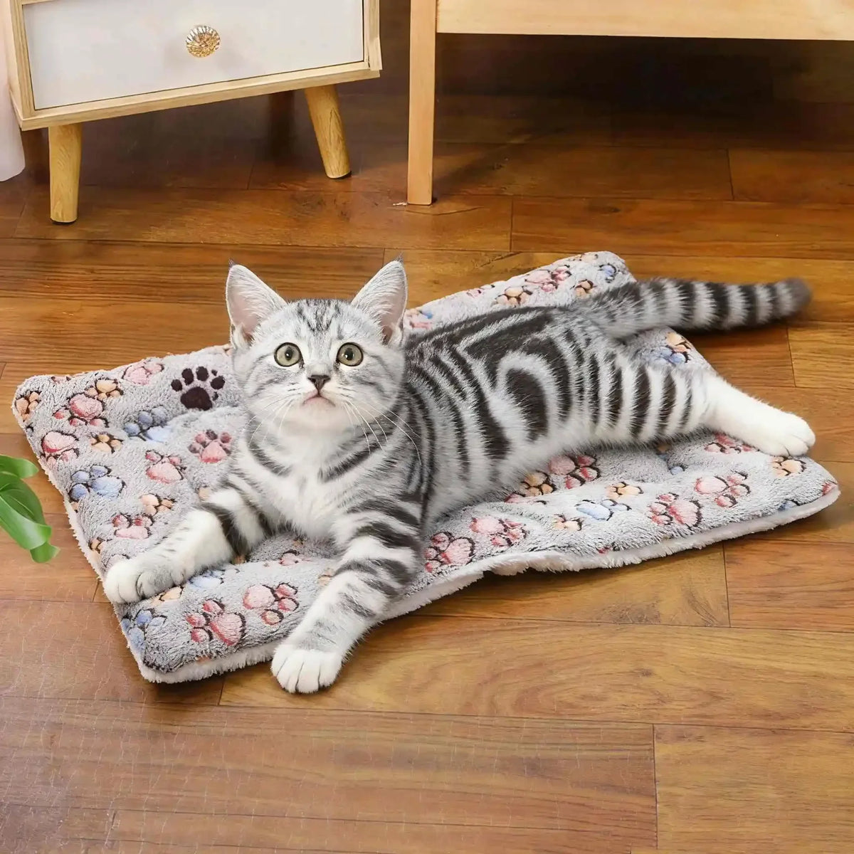 Portable Dog Sleeping Bed Mats Pet Blanket - ProPawPet.com