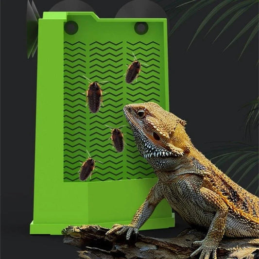 Reptiles Corner Feeder Feeding Dish Easy to - ProPawPet.com
