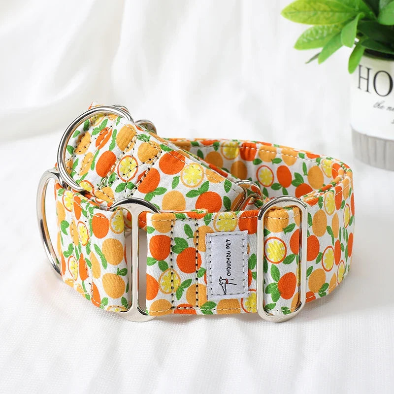 Italian Greyhound Whippet Martingale wide - ProPawPet.com