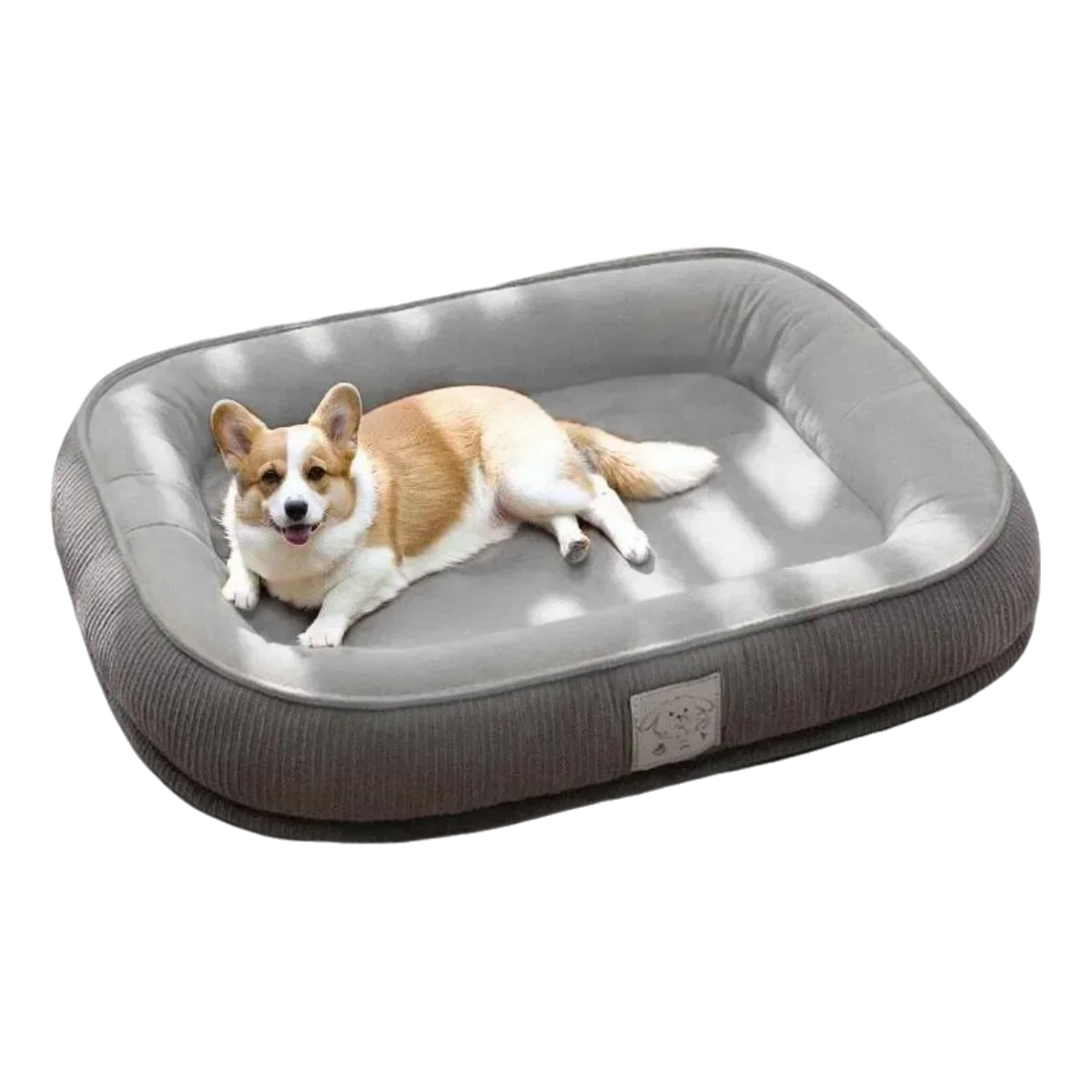 Thickened Wear Resistance Small Breed Dog - ProPawPet.com