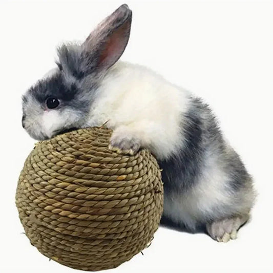 Handmade straw and rattan pet ball water - ProPawPet.com