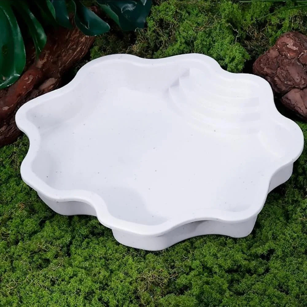 Turtle Bathing Pool, Reptile Feeding Dish - ProPawPet.com