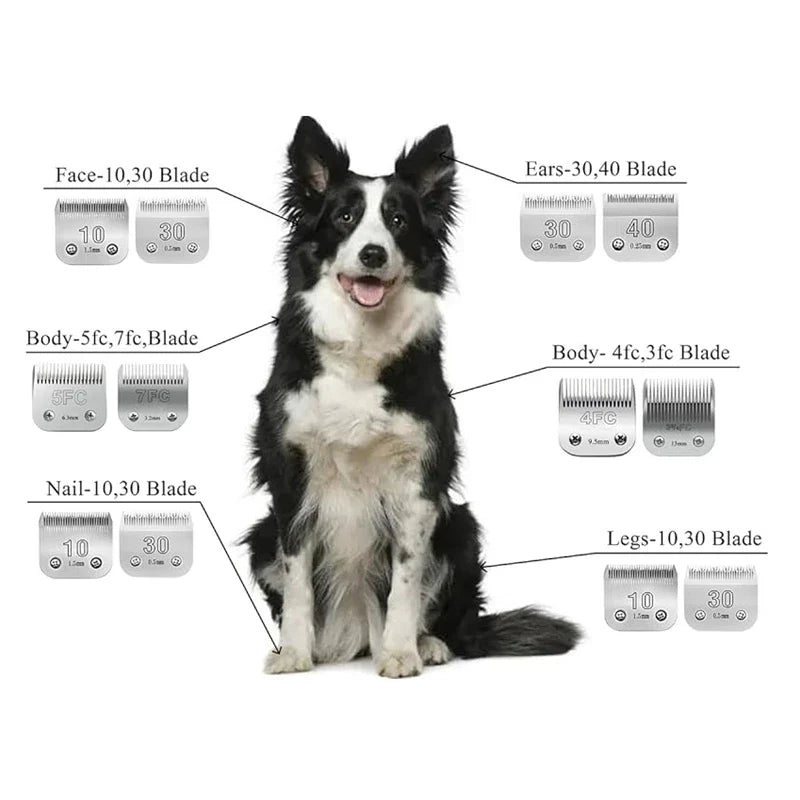 3F,4F,5F,7F,9#,10#,30#,40#,50# Detachable - ProPawPet.com