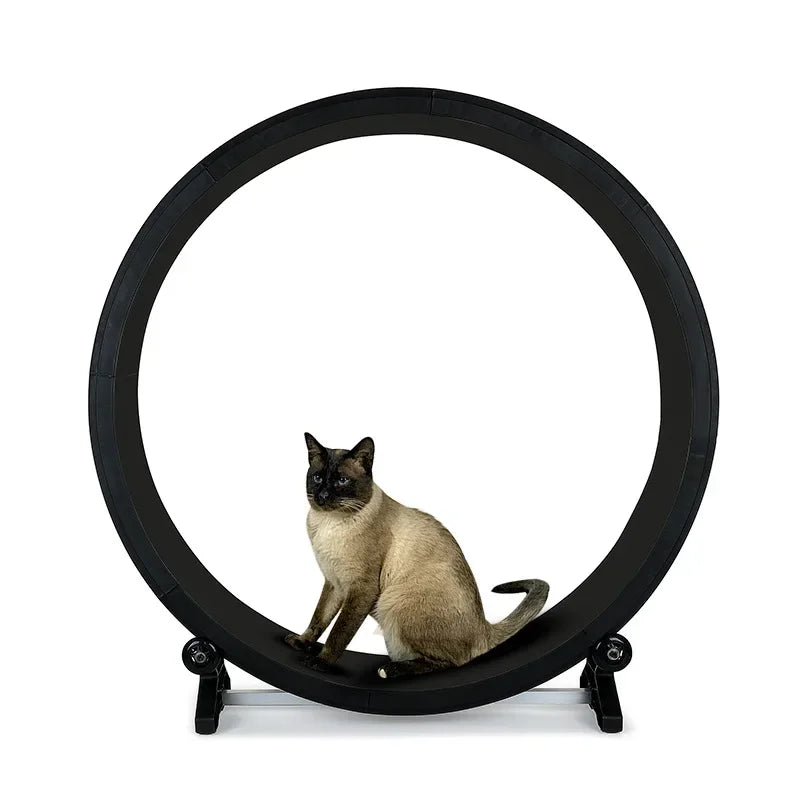 Multi-Functional Silent Cat Treadmill Pet - ProPawPet.com