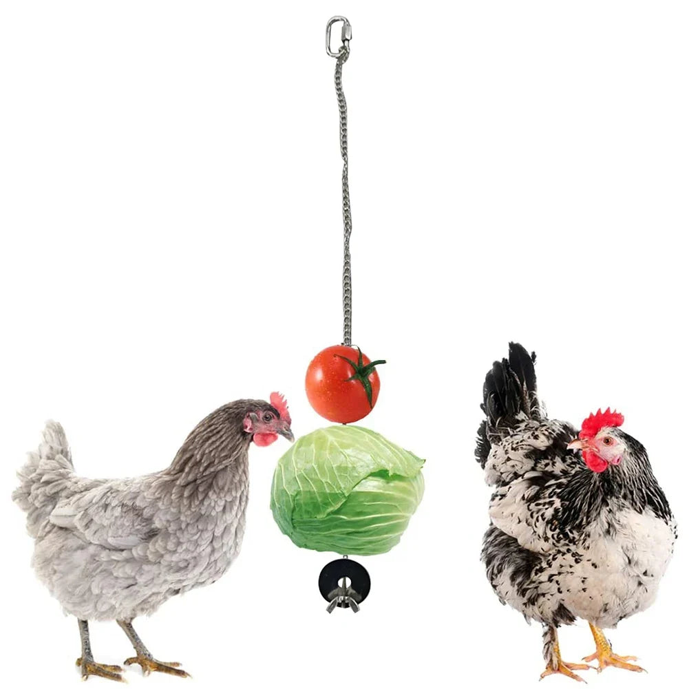 Pet Parrot Stainless Steel Feeder Fruit Corn - ProPawPet.com