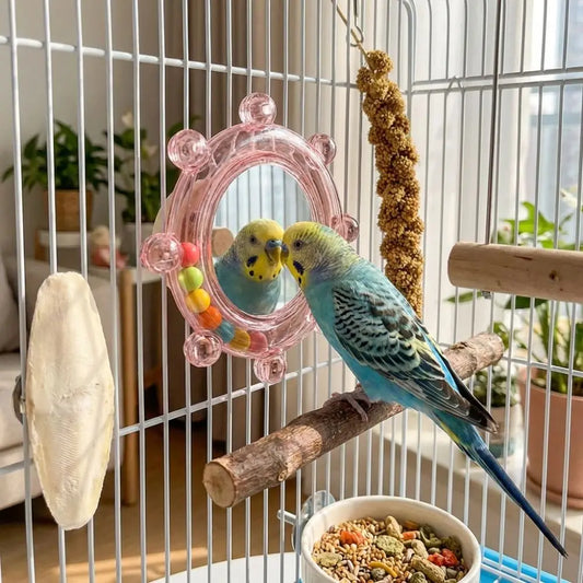Colorful Ball Parrot Mirror Toy - ProPawPet.com