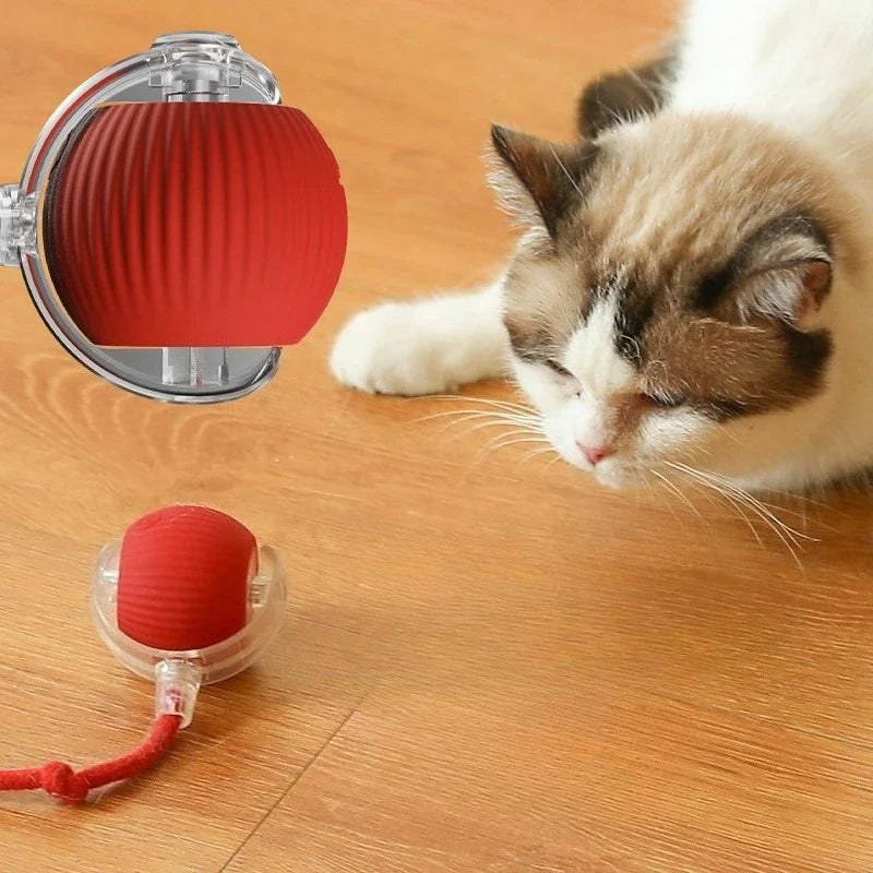 Automatic Interactive Ball Cat Toys Rolling - ProPawPet.com