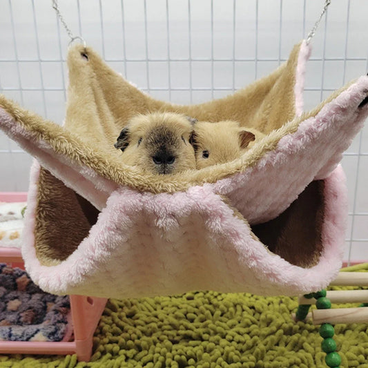 Honey Glider Double Pile Hammock Guinea Pig - ProPawPet.com
