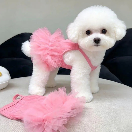 New Breathable Puppy Slip Dress Lace Hem - ProPawPet.com