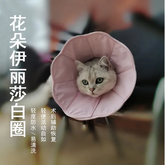 Pet Collar Soft Ring Cat Dog Wound Healing - ProPawPet.com