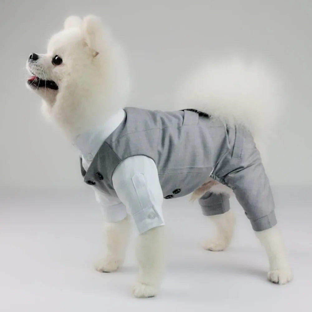 Dog Tuxedo - ProPawPet.com