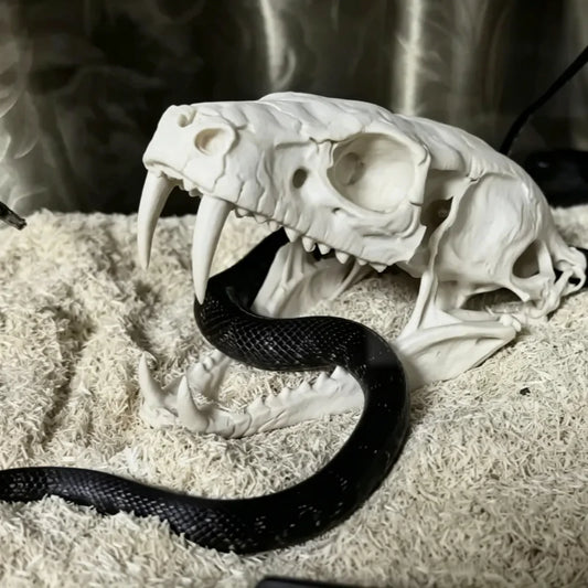 Reptile Vivarium Landscape Ornaments,Cobra - ProPawPet.com