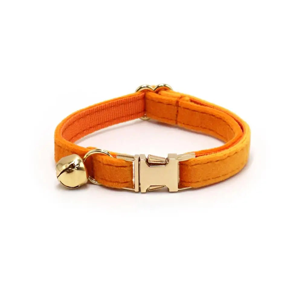Free Engraving Customized Multicolor Soft - ProPawPet.com