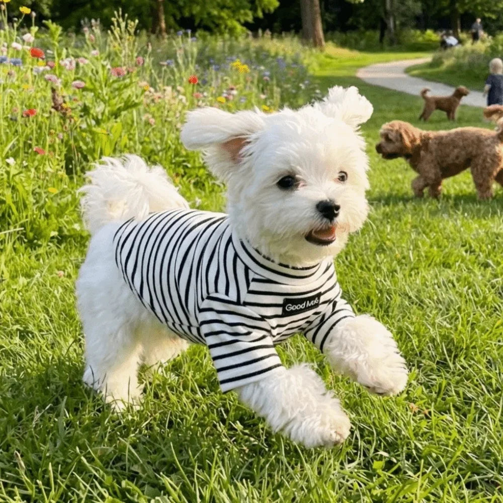 Dog Clothing High Collar Dog Thermal Shirt - ProPawPet.com