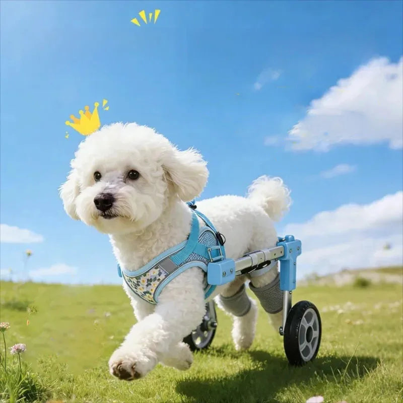 Pet Dog Wheelchair Cart Adjustable Pet - ProPawPet.com