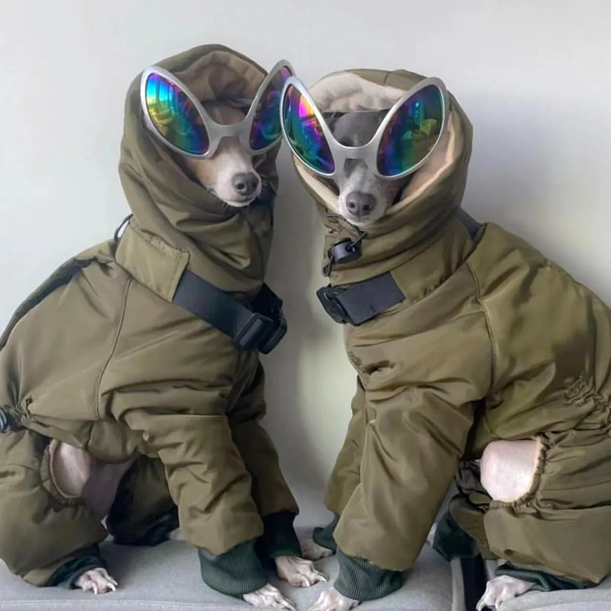 Winter Dog Jacket,Thickened Warm Dog Clothes - ProPawPet.com
