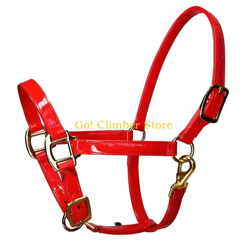 Q84C Quality Fashionable Leather Horse - ProPawPet.com