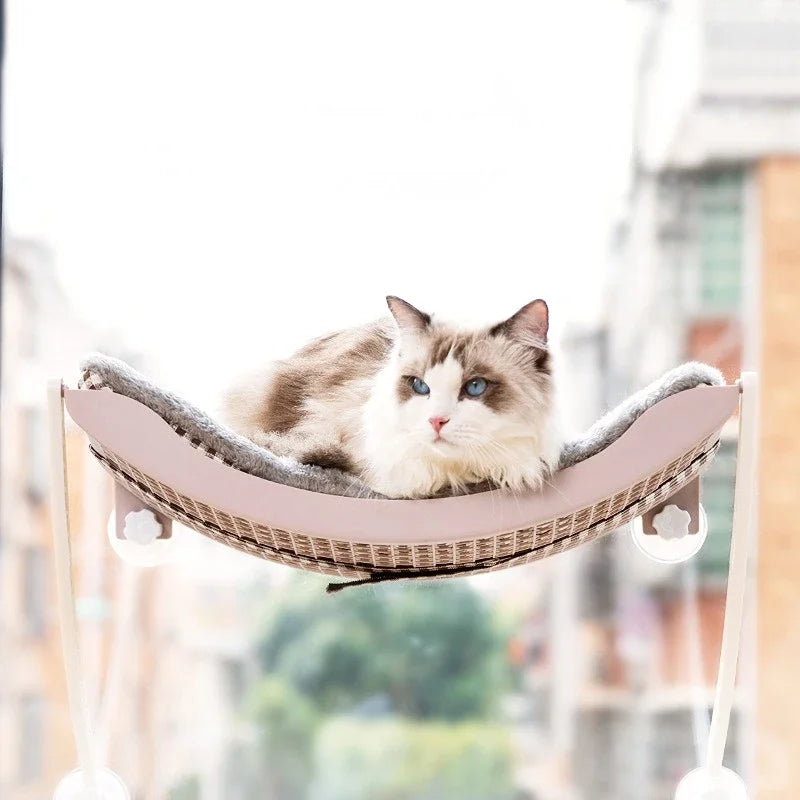 Cute Cat Hanging Beds Comfortable Sunny - ProPawPet.com