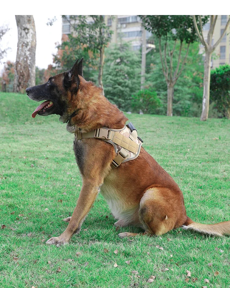 Dog Chest Strap for Large Medium-sized - ProPawPet.com