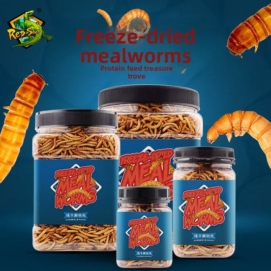 Rep-Shop Freeze-Dried Mealworms | High - ProPawPet.com