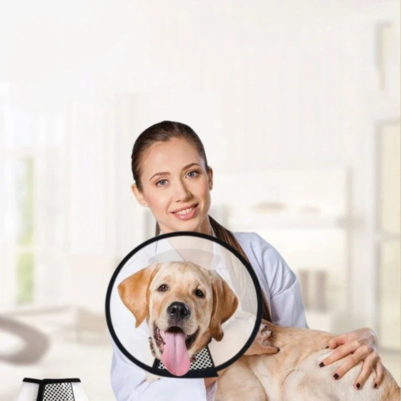 Prevent BiteTransparent Dog Cat Protection - ProPawPet.com