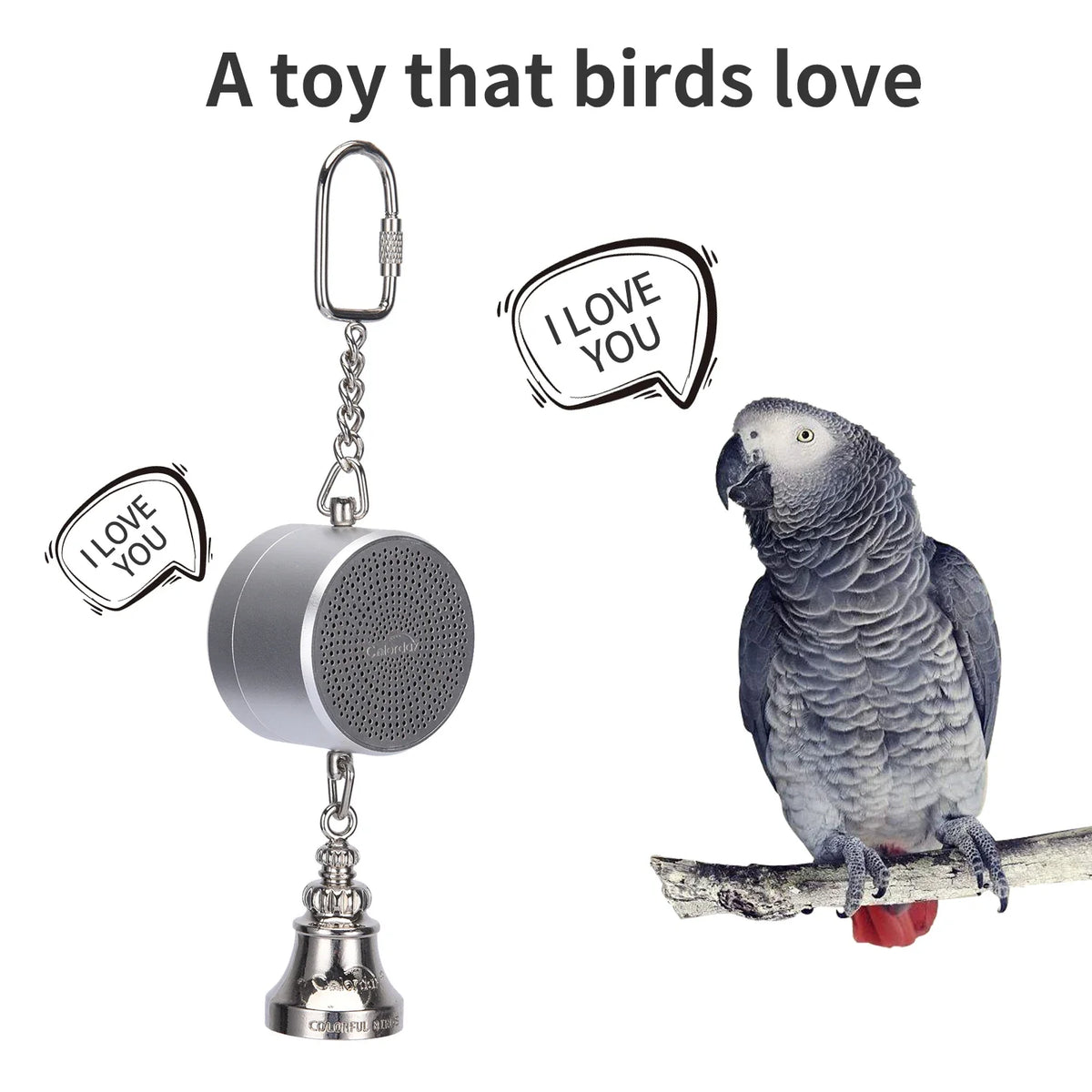 Parrot Toys to Teaching Training Bird Talking Coach, Interactive