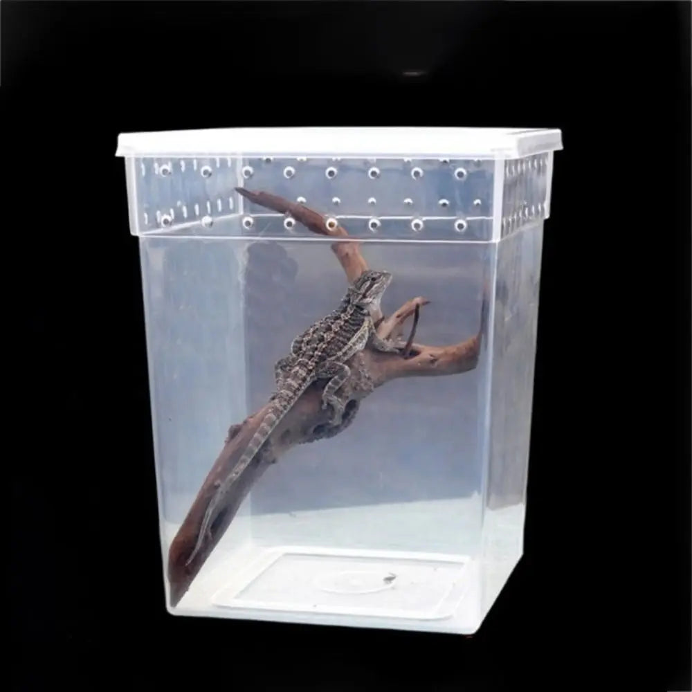 Practical Plastic Reptile Accessories - ProPawPet.com