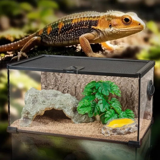 Magnetic Suction Ultra Clear Glass Terrarium - ProPawPet.com