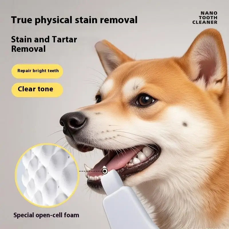 3/6Pcs Dog Tartar Cleaning Removal Tooth Bad - ProPawPet.com