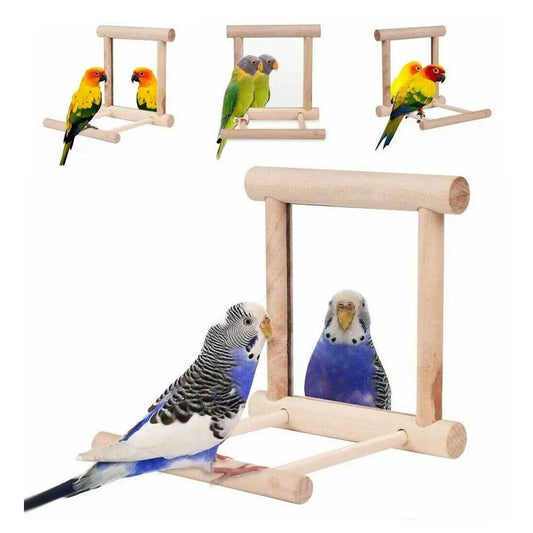 Bird Mirror Wooden Hanging Swing Interactive - ProPawPet.com