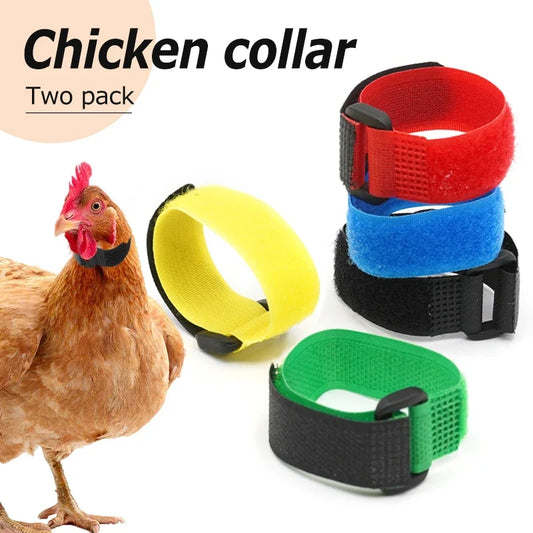 2Pcs No Crow Rooster Collar Chicken Collar - ProPawPet.com