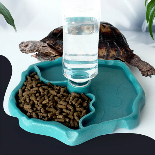 1Pc Reptile Feeders Waterer - ProPawPet.com