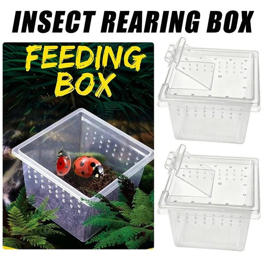 10 feeding boxes, reptile cages, incubation - ProPawPet.com
