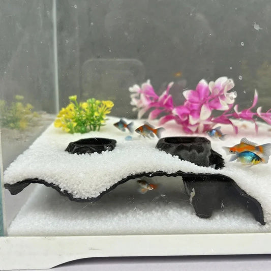 Surface level distinct underground aquarium - ProPawPet.com