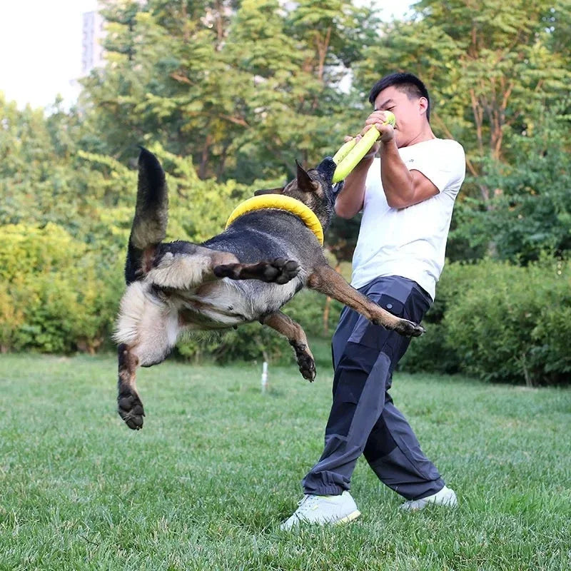 Dog Toys Pet Flying Discs EVA Dog Training - ProPawPet.com