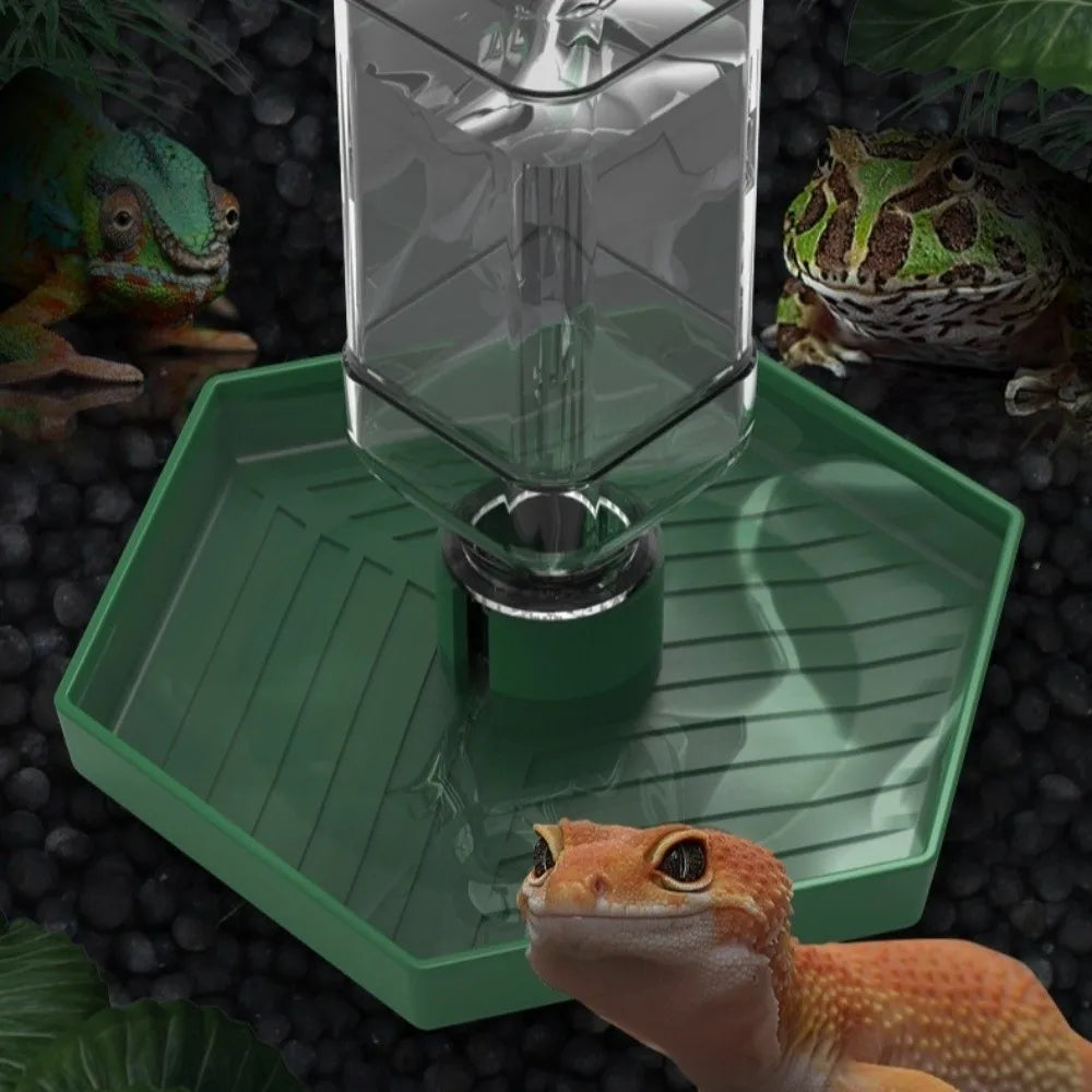 Pet Supplies Anti-slip Reptiles Water Feeder - ProPawPet.com