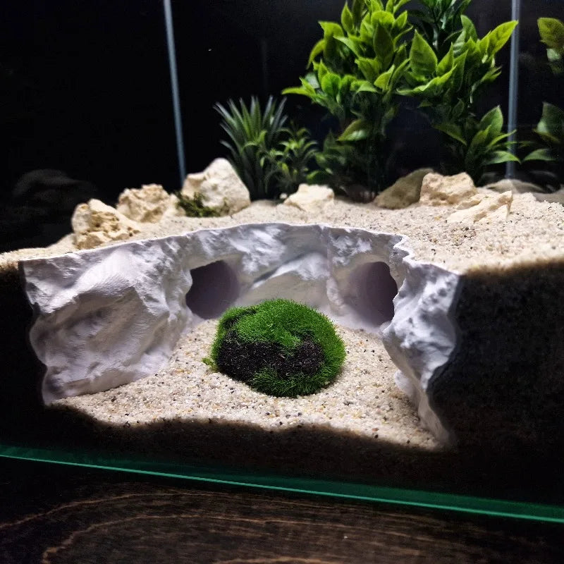 2-in-1 Water & Land Hiding Cave Tunnel for - ProPawPet.com