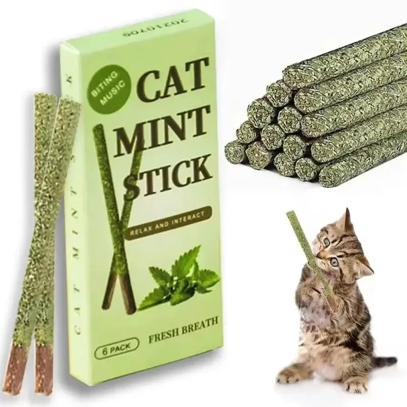 6-24Pcs Natural Matatabi Cat Stick Mint - ProPawPet.com