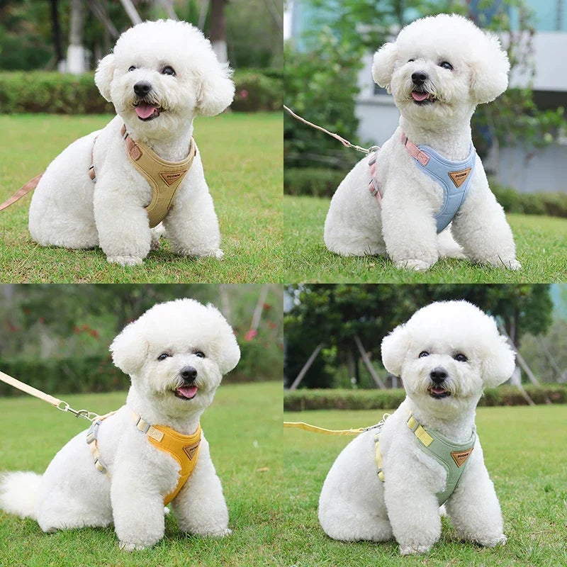 Puppy Harness Leash Set for Small Medium Dog - ProPawPet.com