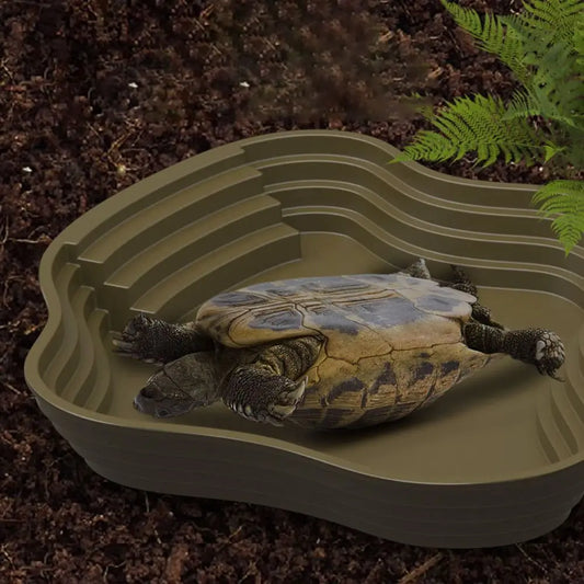 Stair Design Turtle Bathing Basin Plastic - ProPawPet.com