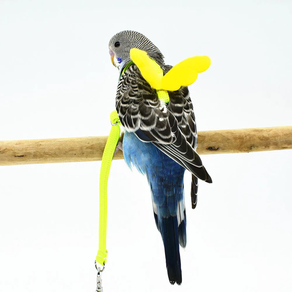 Anti-bite Flying rope Bird Supplies Lovebird - ProPawPet.com