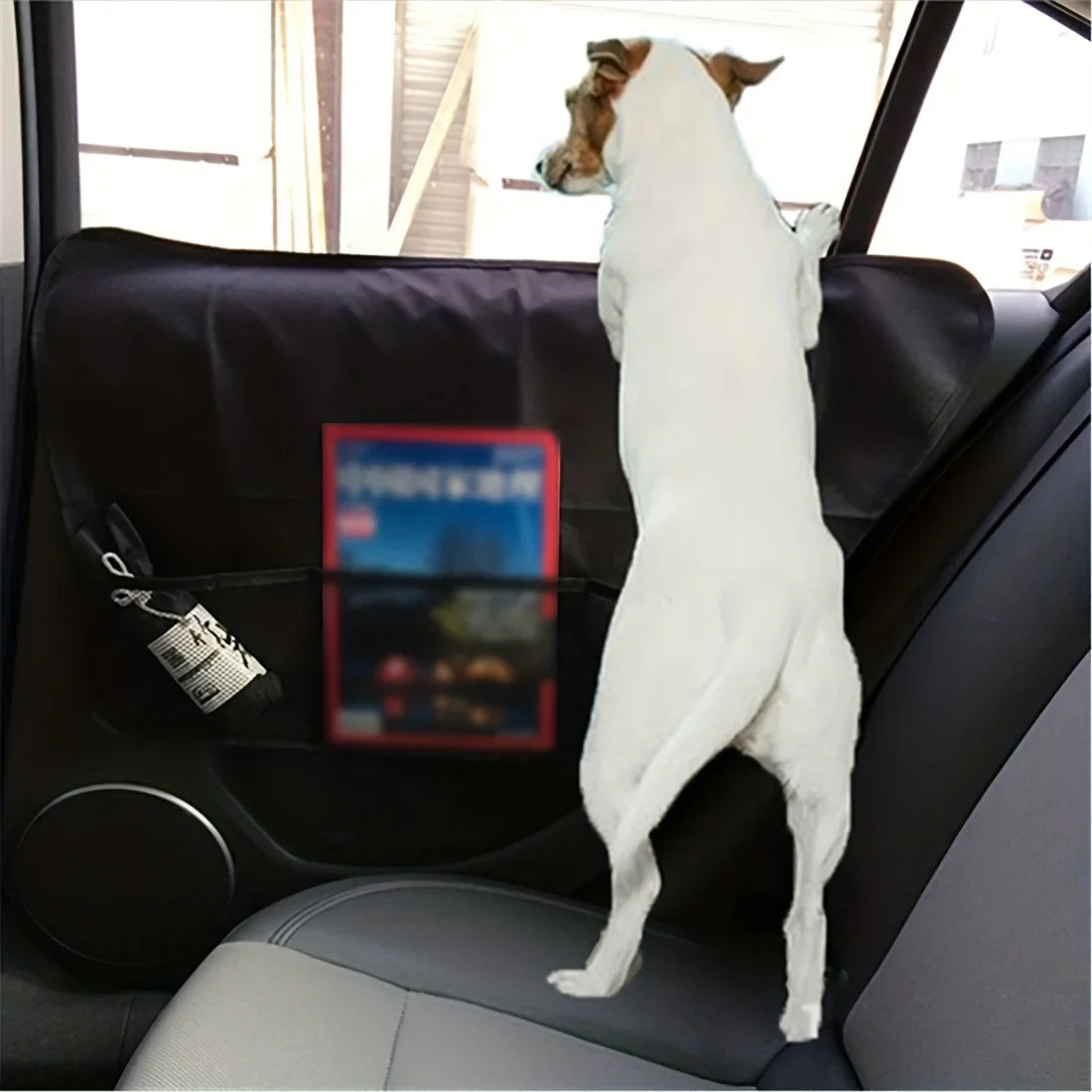 Car Pet Mat Side Door Anti Scratch Anti Kick - ProPawPet.com