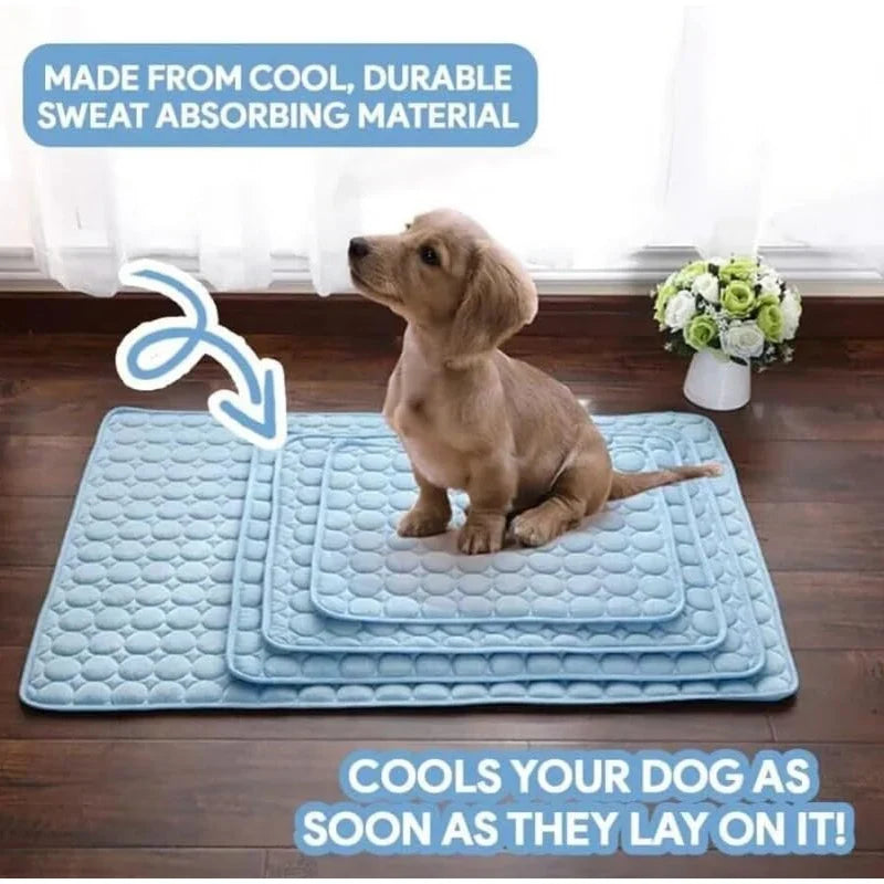 Summer Cats Dogs Cooling Ice Mat Pet Ice - ProPawPet.com
