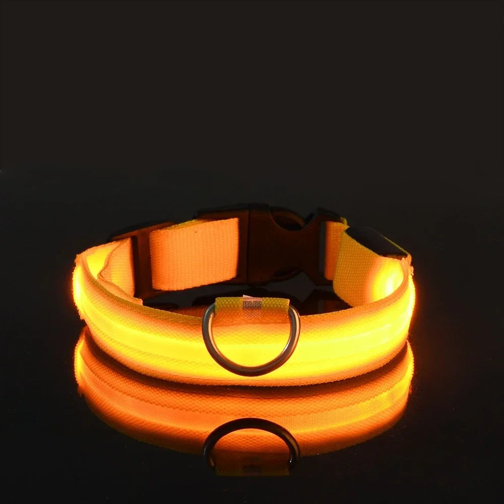 Dog Collar Nylon LED Night Safety Flashing - ProPawPet.com