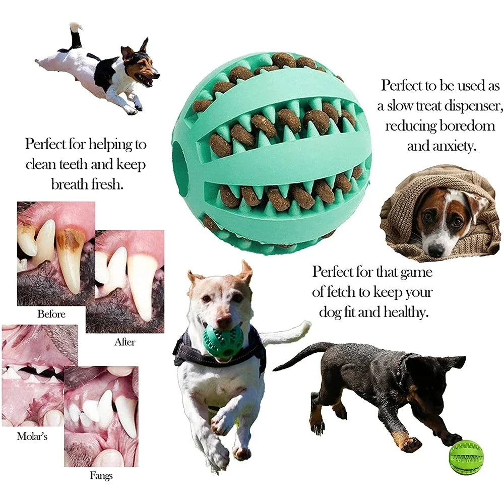 New Pet Dog Toy Interactive Rubber Balls for - ProPawPet.com