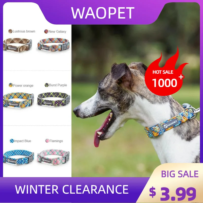 Pet Supplies Dog Collar For Puppy Medium - ProPawPet.com