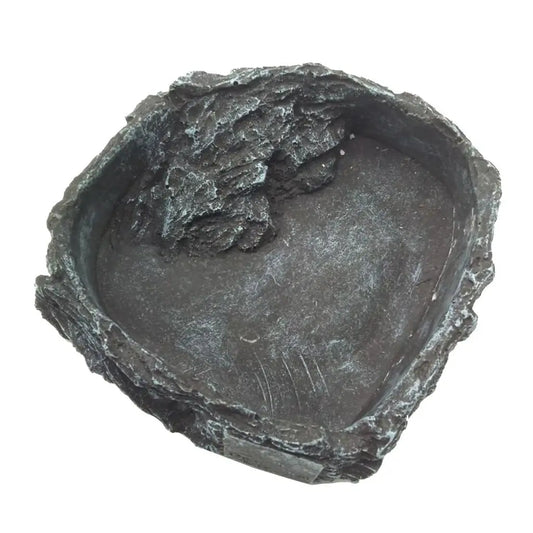 Reptile Amphibians Food Water Dish Pet - ProPawPet.com