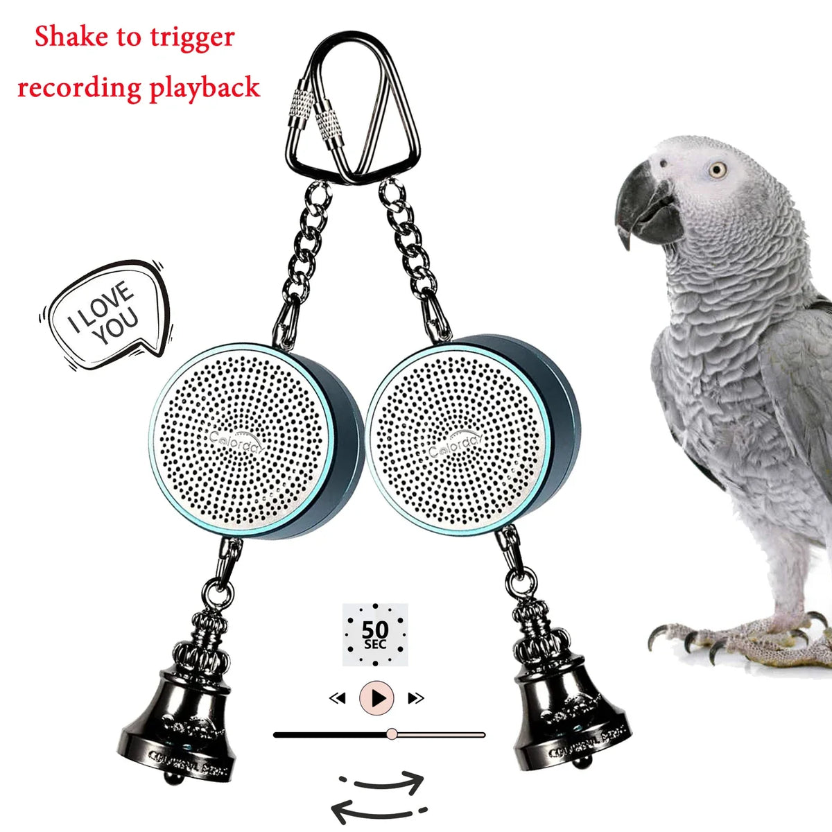 Parrot Toys to Teaching Training Bird - ProPawPet.com