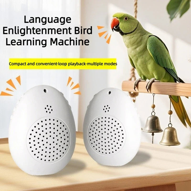 Recording Bird Learning Ma Interactive - ProPawPet.com