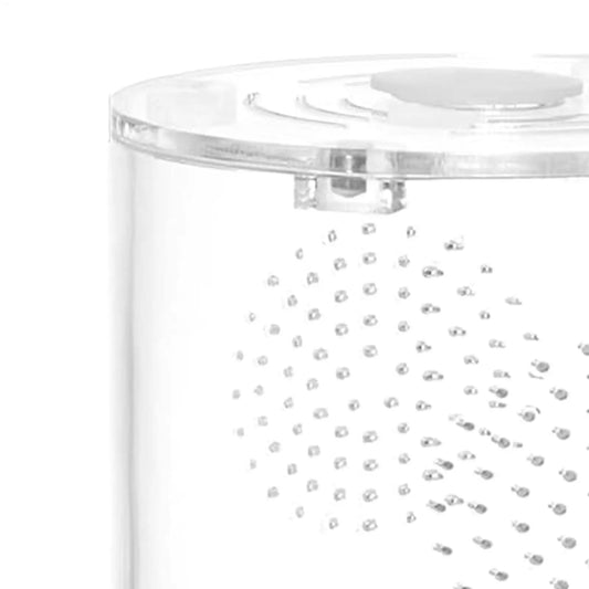 Isopod Enclosure 10.2x10.2x10.2cm Clear - ProPawPet.com